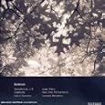 Beethoven - Symphonies 1 � 9 (Leonard Bernstein)