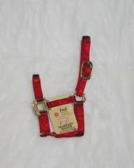 Hamilton Quality 3/4" Nylon Horse Halter, Red, Foal/Average Mini Horse (100-200 lbs)