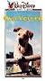 Old Yeller [VHS]