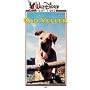 Old Yeller