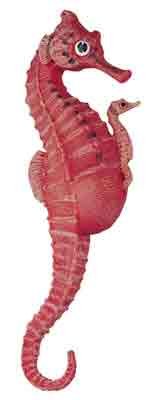 Childrens Toyshop  Toys : Red Seahorse w/Baby