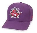 Toronto Raptors Cap by New Era