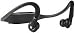 Motorola MOTOROKR Bluetooth Stereo Headphones