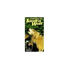 Following the Tundra Wolf [VHS]