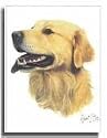Golden Retriever - Designer Dog Flags