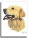 golden_retriever25golden retriever - Golden Retriever Designer Dog Flags
