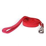 Aspen Pet 1 Two-Ply Nylon Dog Leash