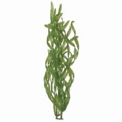 Tetra 19119 Water Wonders Fresh Water Plant Corkscrew Val, 9-Inch