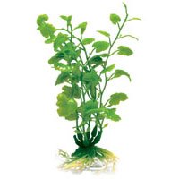 Aqua Ornament Plant Artificial Penn Plax Plus - PLANT-XL CRDAMIN