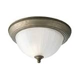Progress Lighting 2-Light Close-to-Ceiling Pendant with Etched Ribbed Glass - P3817 / P3817-04 - col