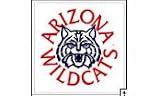 Arizona Wildcats Stick Flag