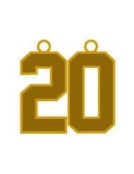 Number 20 Jersey Style Sports Necklace Charm Pendant #20 (0.8" Tall - Standard Size) GOLD PLATED Perfect For: Football, Baseball, Basketball, Soccer, Hockey, Softball, Volleyball, Lacrosse & More