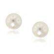 Freshwater White Pearl Stud Earrings in 14K Solid Yellow Gold