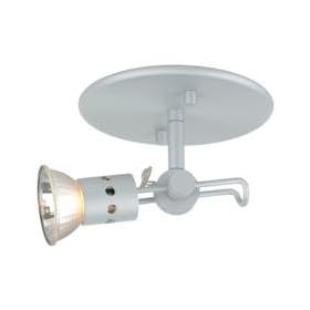 Sea Gull Lighting 94003-298 RX High-Tech Mono-Point Flex Track Single-Light Luminaire, Eurotech