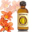 Orange Blossom Scented Oil - Bonus Size 120 ml by Premium Home Fragrance Oil