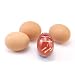 Norpro Egg Perfect Egg Timer NEW