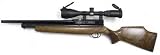 Webley Raider 10 Combo air rifle