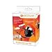 EA Sports Active Wireless Workout Kit For Wii