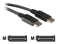 ROLINE DisplayPort Kabel DP ST/ST 2m Preisvergleich