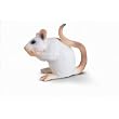 Schleich White Mouse 14406
