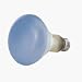 GE 65W Refl Plant Bulb