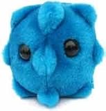 Giant Microbes- Common Cold