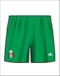 Men's Mexico Away Short-mexico green/white