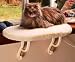 Kitchen & Housewares : Kitty Sill - Unheated - 24 in. x 14 in.