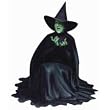 Wizard of Oz The Wicked Witch Die-Cut Photographic Magnet
