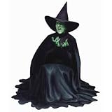 Wizard of Oz The Wicked Witch Die-Cut Photographic Magnet