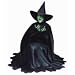 Wizard of Oz The Wicked Witch Die-Cut Photographic Magnet