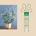 Bosmere L515 24 Inch Tall x 10 Inch Wide Scroll Pot Trellis