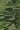 camo army green