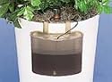 Plant Sitter Automatic Waterer