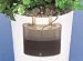 Plant Sitter Automatic Waterer