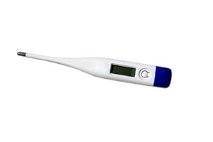 A Medical, Accurate, Digital Thermometer for Use with Infants Through Seniors