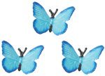 214monSxL L. SL160  LTD Safari Good Luck Mini Butterfly
