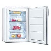 Free Standing Freezer (ZUT125W)
