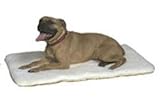 Essential Pet 10003 Bully Bed Medium