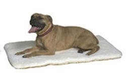 Essential Pet 10003 Bully Bed Medium