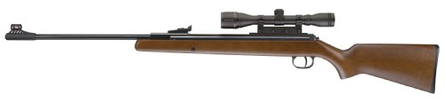 RWS .177 Pellet Model 34 Combo Rifle (Wood, Large)