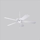 P2501-30W - Progress Lighting- Ceiling Fan