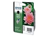 Epson Tintenpatrone schwarz T013