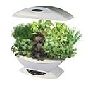 AeroGrow AeroGarden in White - 2101-00W