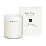 Archipelago Botanicals Havana Excursion Candle 9.5 oz candle