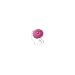 Pink-