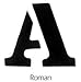 Cthru Letter Stencil 2 Inch Roman Capital/Lowercase/Numbers
