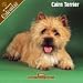   - 2008 Cairn Terrier 2008 16 Month Wall Calendar **IN STOCK NOW**