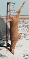 TRUCK HITCH DEER HOIST GAMBREL HOOK stand/blind hunting