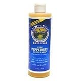 Sylvia's Hair Products Dr. Woods Peppermint Soap, 16-Ounce (Pack of 12)